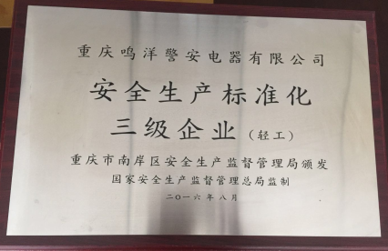 安全生产标准化三级企业