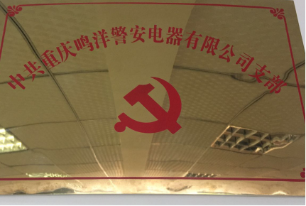 中共重庆鸣洋警安电器有限公司支部